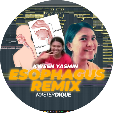 Master Dique