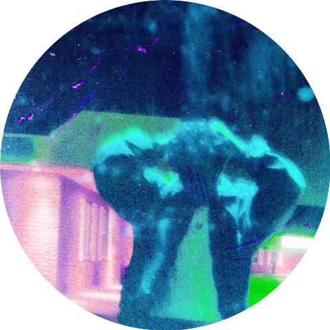 IAMGEMINI