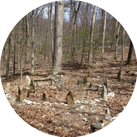 Richard L Hall & Mystic Grove