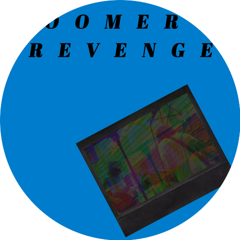 Zoomer's Revenge