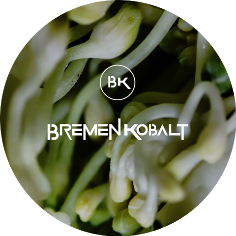 Bremen Kobalt