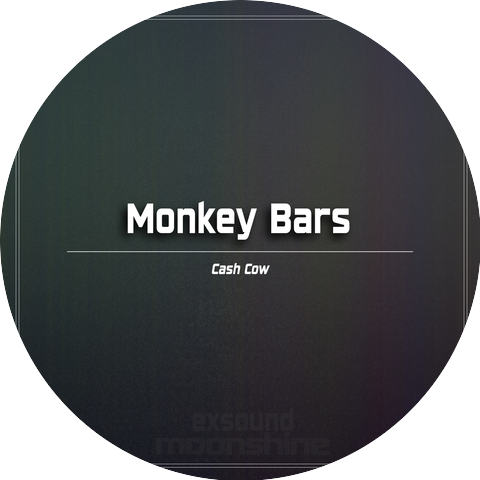 Monkey Bars