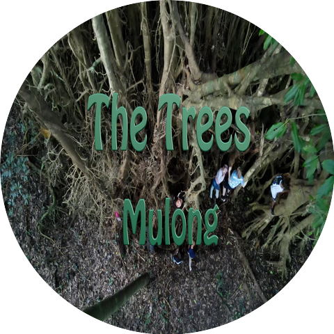 Mulong