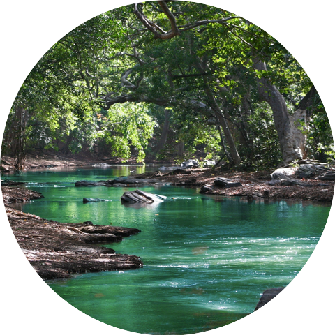 Nature Relaxation
