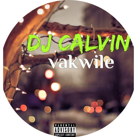 DJ Calvin