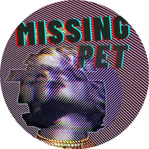 Missing Pet