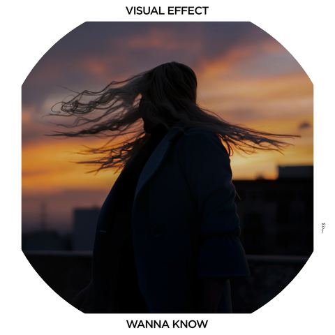 Visual Effect