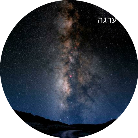 Avishai Mor