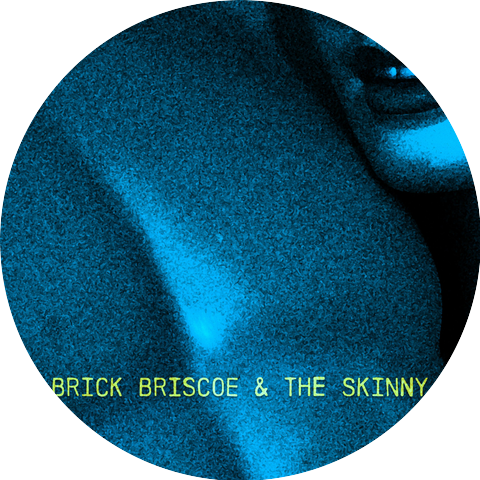 Brick Briscoe & The Skinny
