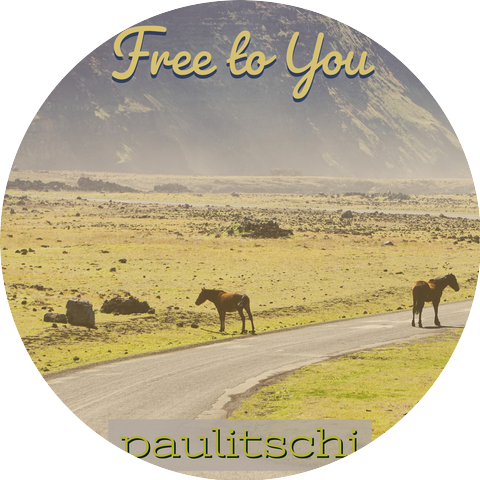 Paulitschi