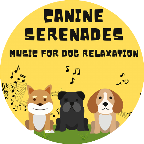 Music For Dogs With Anxiety