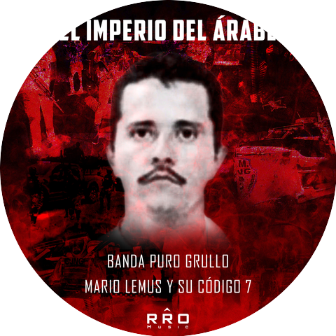 Banda Puro Grullo & Mario Lemus Y Su Código 7