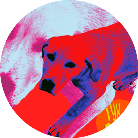198archie
