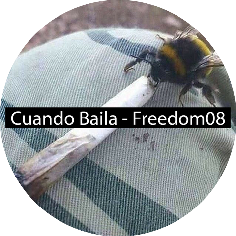 Freedom08