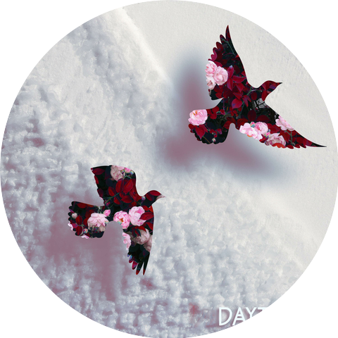 Daytrails