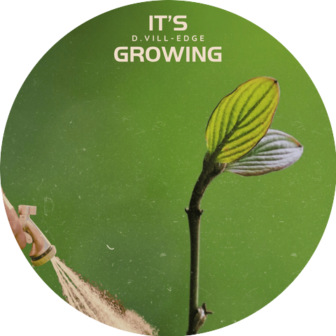 D.Vill-Edge