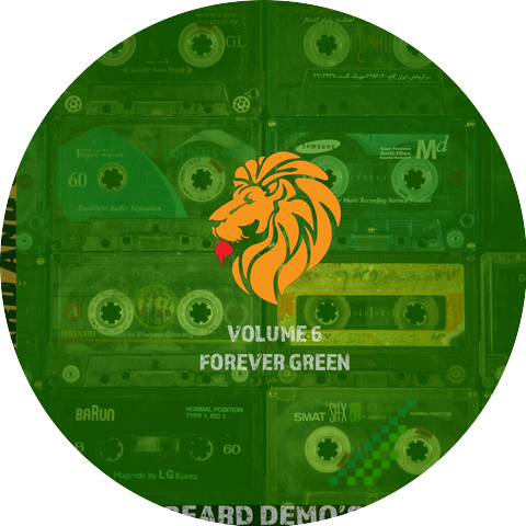 The Redbeard Demo's
