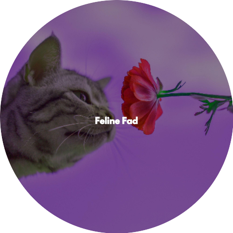 Autumn Music Vintage