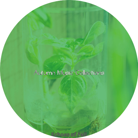 Autumn Music Collections