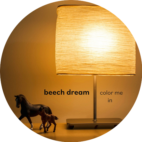 beech dream