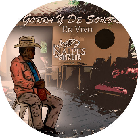 Los Naipes De Sinaloa