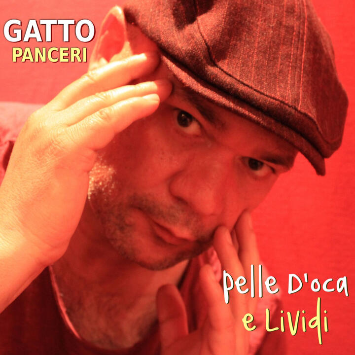 Gatto Panceri