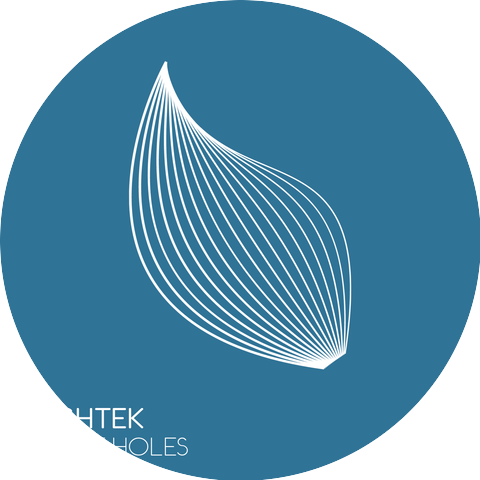 Sashtek