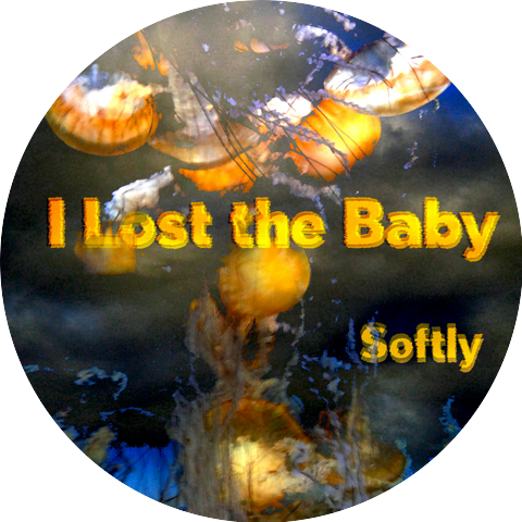 I Lost the Baby