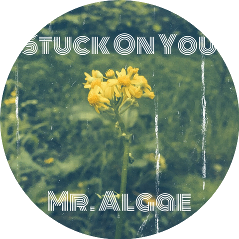 Mr. Algae