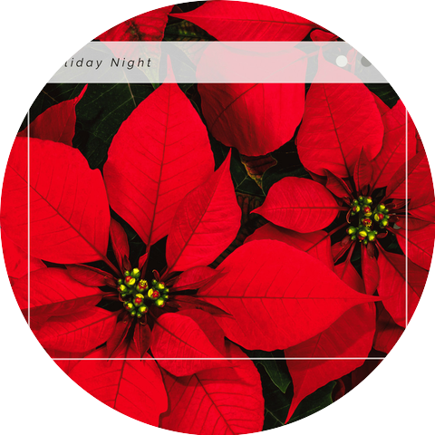 Instrumental Christmas Classics