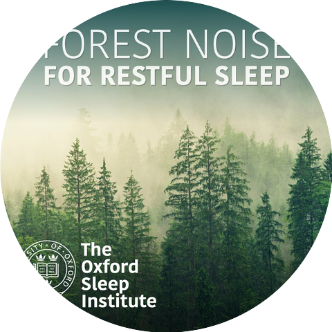The Oxford Sleep Institute