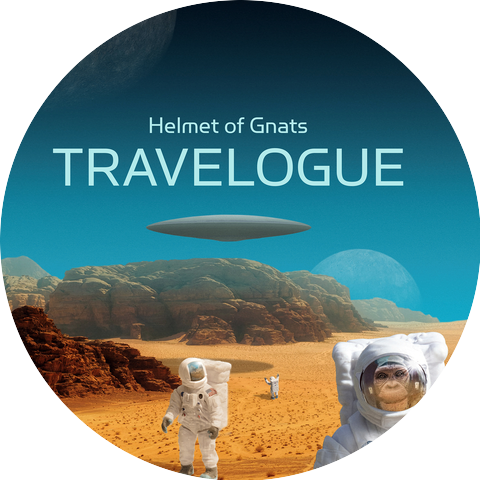 Helmet of Gnats