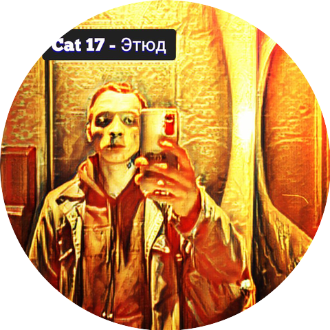 Cat 17