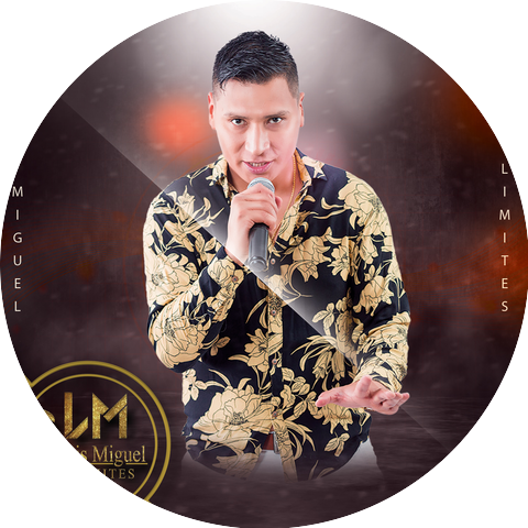 Luis miguel sin limites