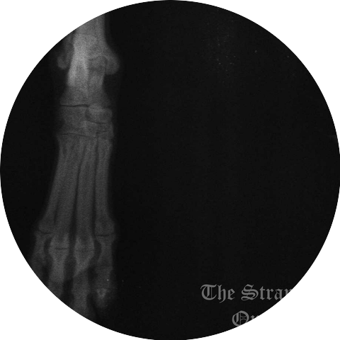 The Strangers Outside