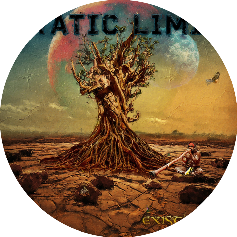 Static Limit