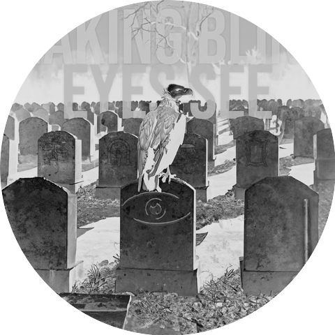 Making Blind Eyes See