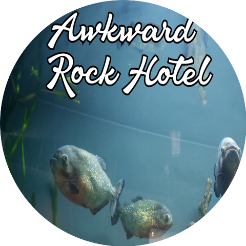 Awkward Rock Hotel