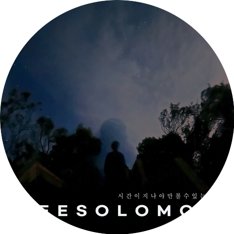 Lee Solomon