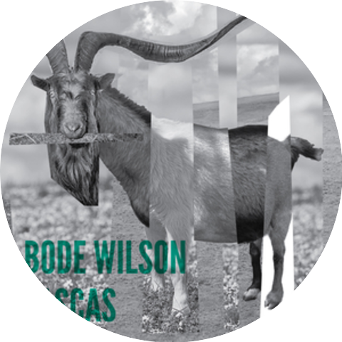 Bode Wilson