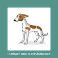 Dog Anxiety Relief