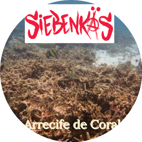 Siebenkäs