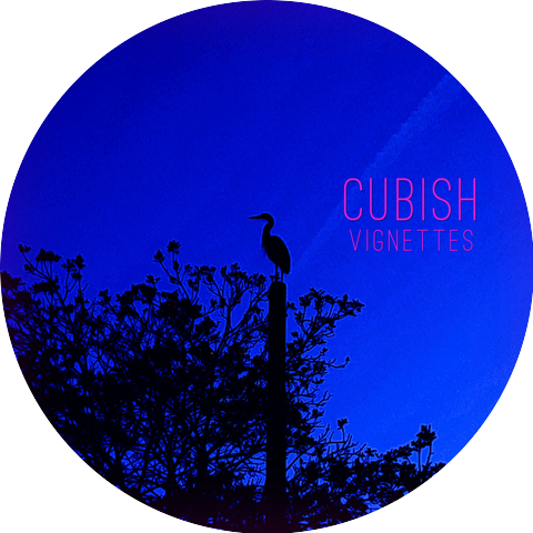 Cubish