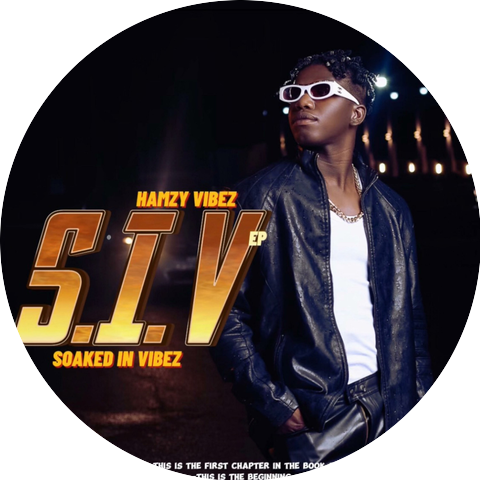 Hamzy Vibez