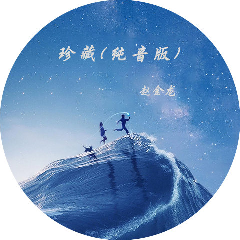 赵金龙
