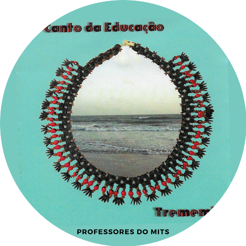 Professores do MITS