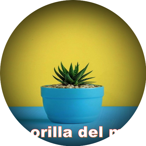 instrumental Hip Hop Beats