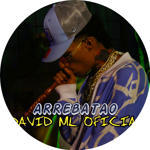 DAVID ML OFICIAL