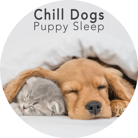 Puppy Sleep