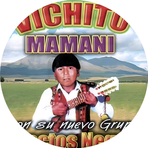 Vichito Mamani